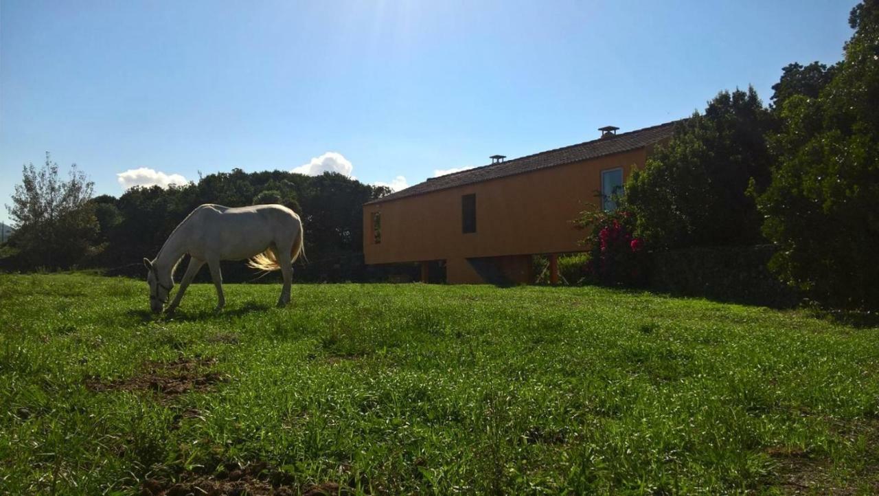 Quinta da Falésia - Casa Amarela Ponta Delgada Exterior foto